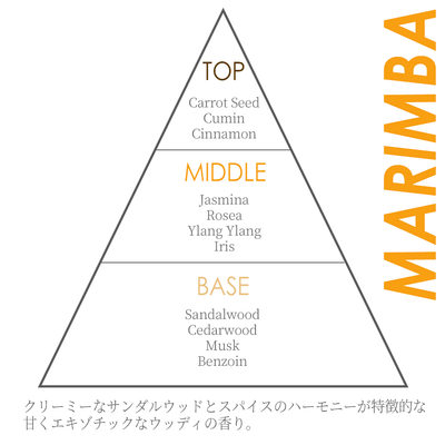 【マリンバ】multi cleanse MARIMBA
