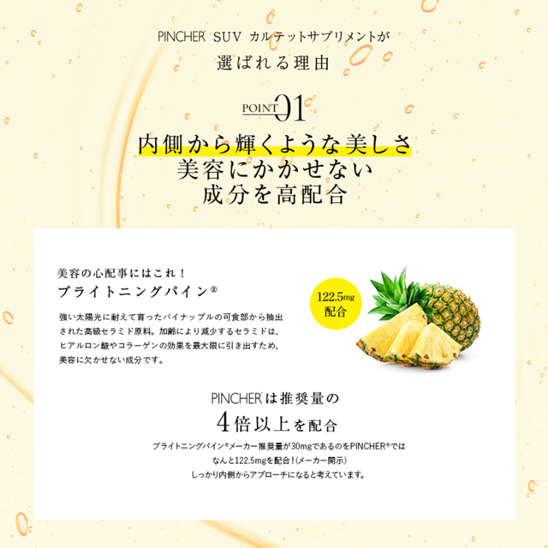 SUV Quartet Supplement】 – PINCHER®JAPAN【公式】