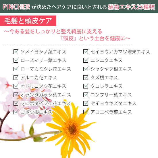コンディショナー ショパン】conditioner “chopin” – PINCHER