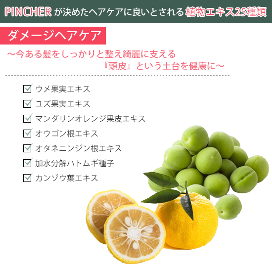 コンディショナー ショパン】conditioner “chopin” – PINCHER