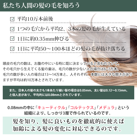 PINCHER ピンシャー　シャンプー&コンディショナー　ショパン シャンプー ショパン】shampoo “chopin” – PINCHER®JAPAN【公式】