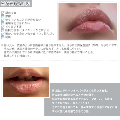 【リップクリーム】Everyday Lip